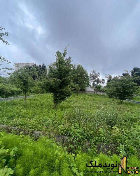 زمین جنگلی 600 متری در نوشهر نوید ملک خرید زمین در جنگل شمال
